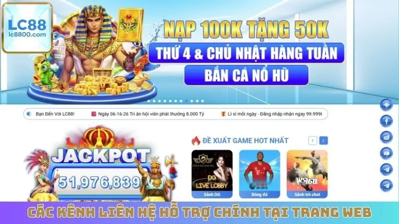 Các kênh liên hệ hỗ trợ chính tại trang web
