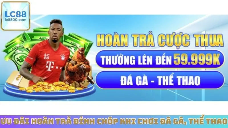 Ưu đãi hoàn trả đỉnh chóp khi chơi đá gà, thể thao